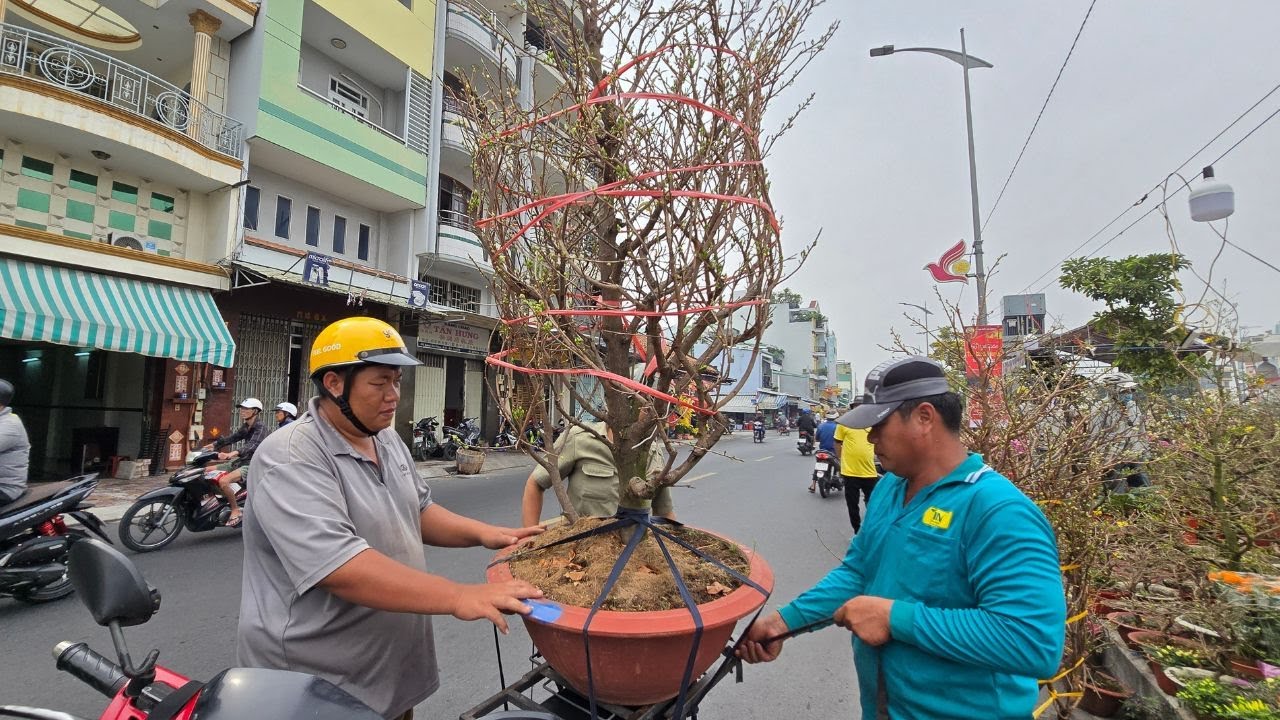 Thời khắc người Sài Gòn ra đường mua hoa Tết, Bến Bình Đông cực kỳ sôi động