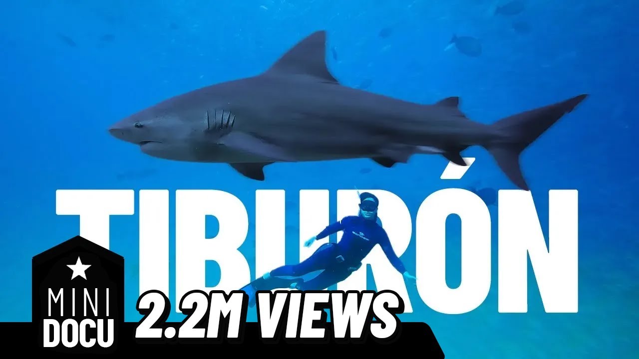 Nadando con TIBURÓN TORO SIN JAULA ft. MacaBeso