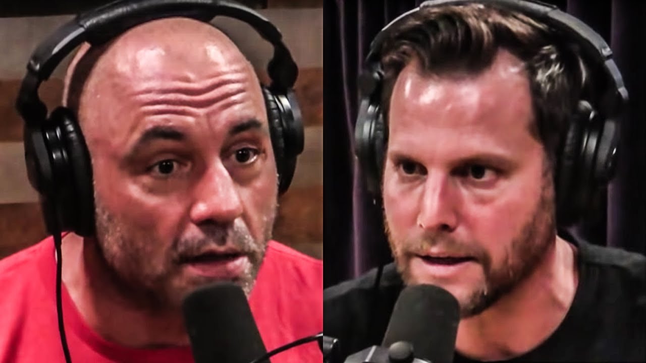 Dave Rubin's Nonsense Stuns Joe Rogan