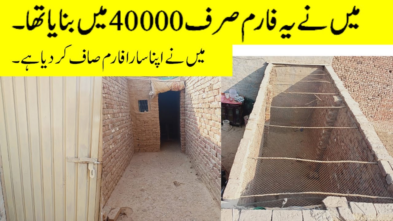 Farm Ko Renew Krdea Aur paint B Krdea🥰&hearts;️