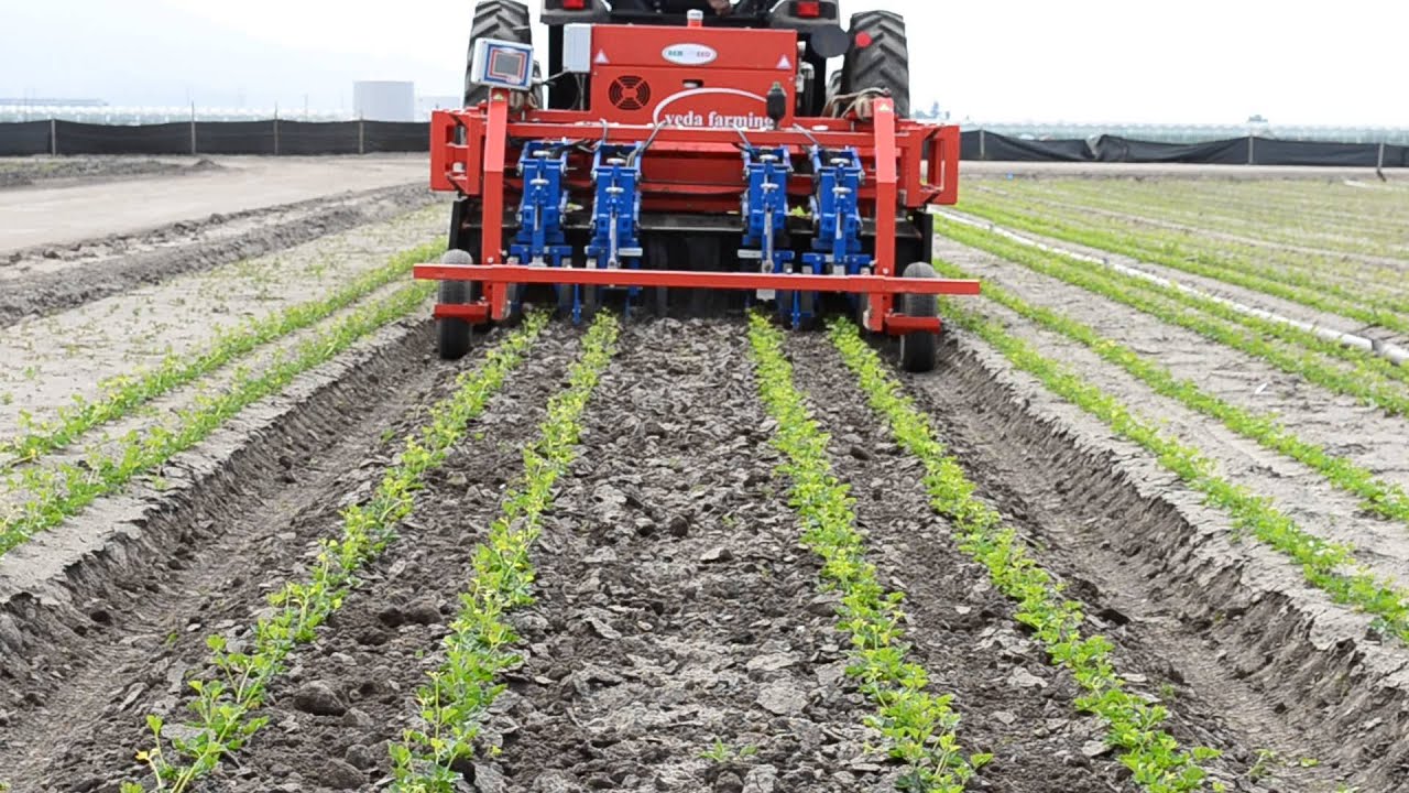 Remoweed: Automatic Weeder