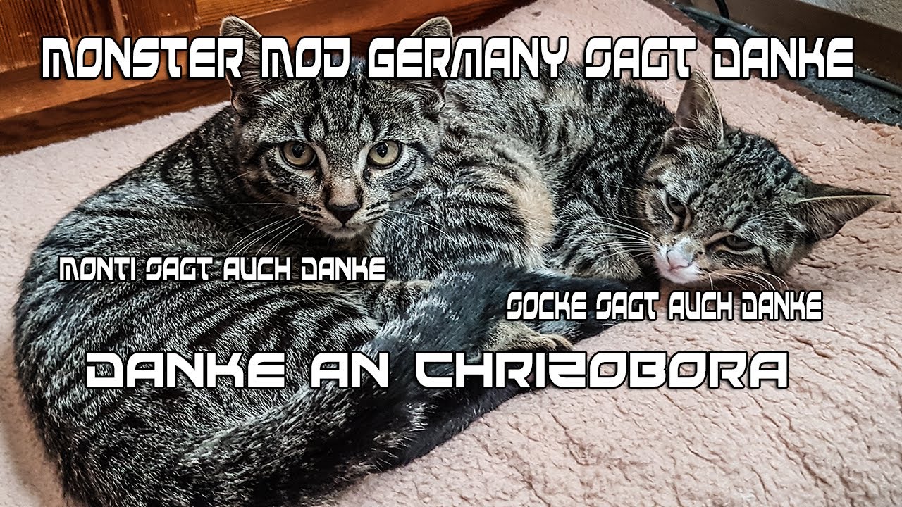 #gemeinsamyoutube Danke An #Chrizobora (HD) Danke F&uuml;r dein Support  /Danke Auch An Meine Community