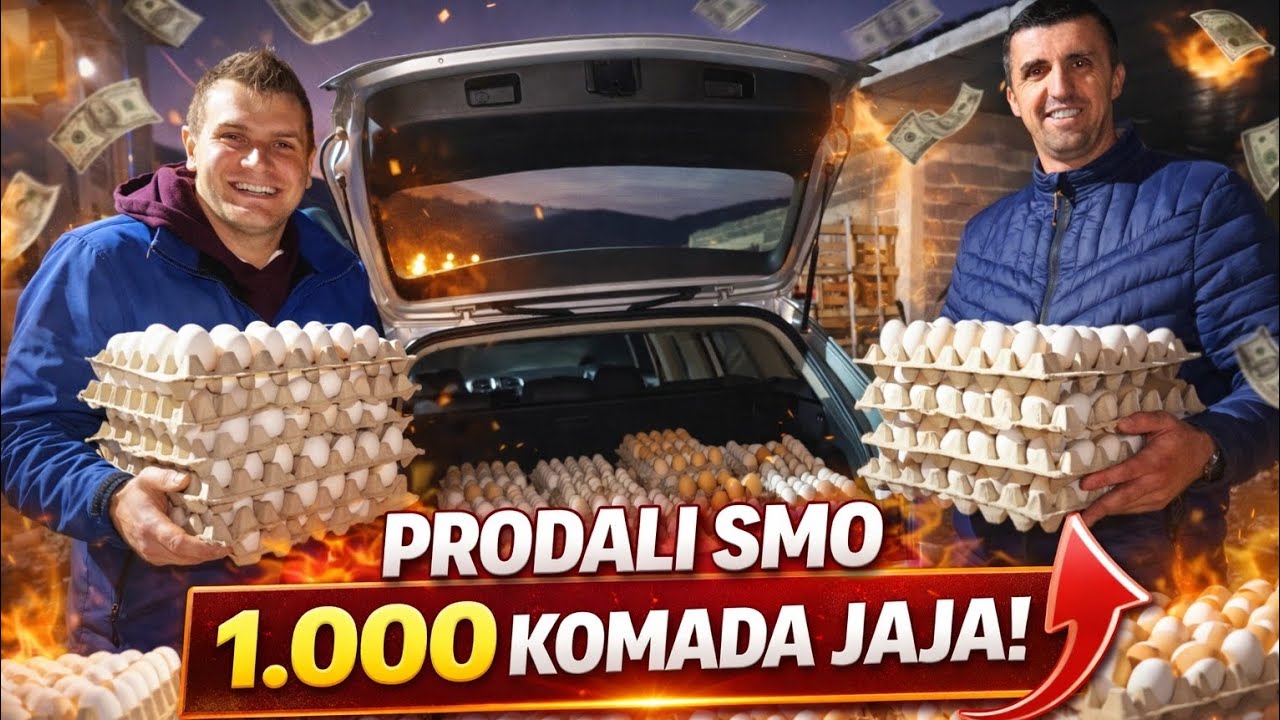PRODALI SMO 1.000 JAJA U JEDNOM DANU 🥚💰 | MOŽE LI SE ZARADITI OD OVOG BIZNISA?