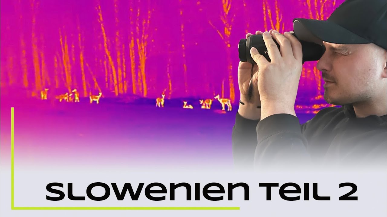 Nachts mit der Wärmebildkamera - Slowenien Teil 2 - Naturfotografie / Tierfotografie