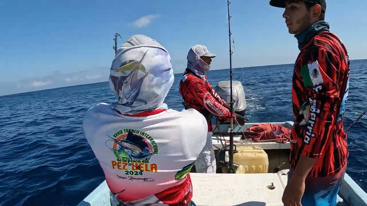 MARLIN GIGANTE NOS ATACA 😱😱😱