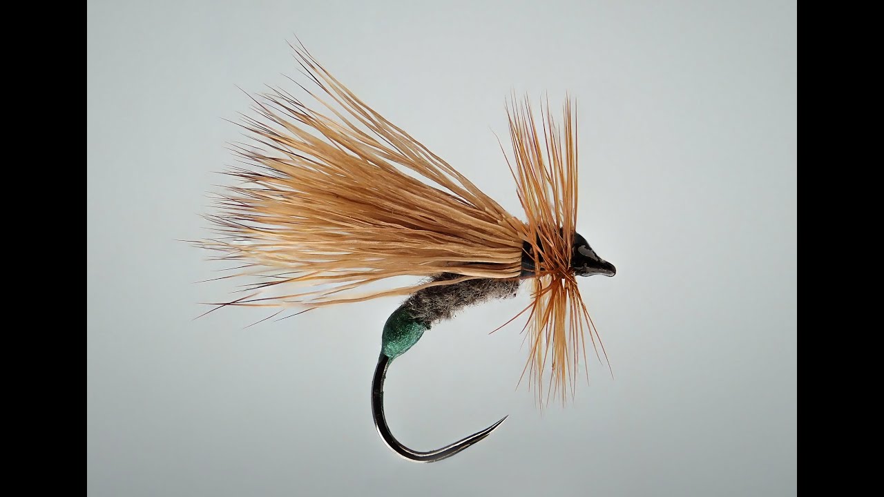sedge cul vert (green caddis)