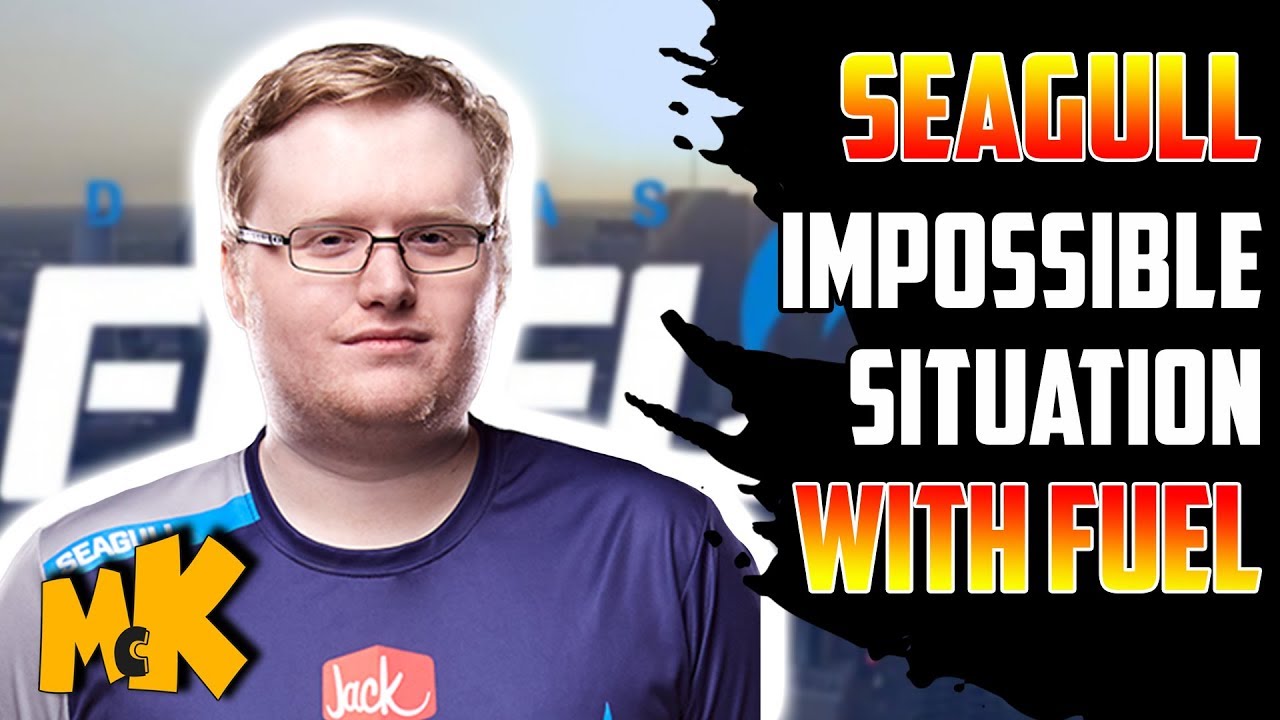 Seagull revealed 