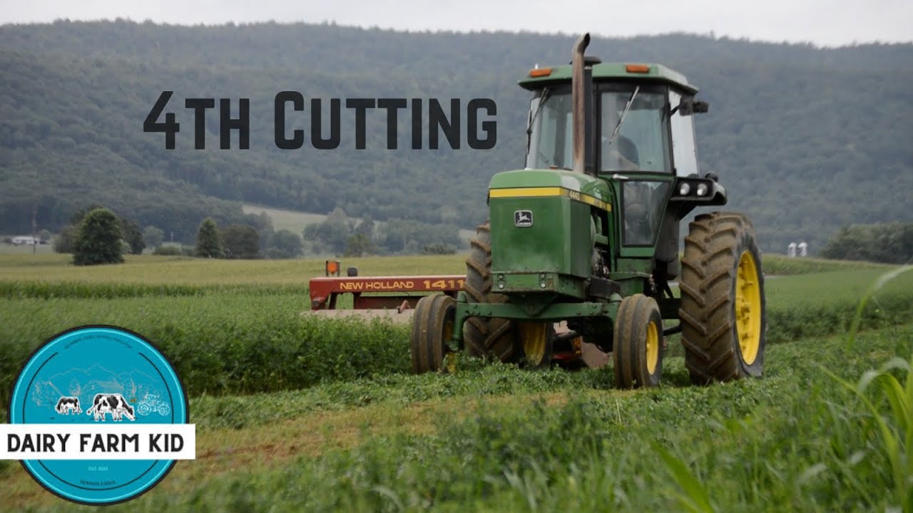 4th Cutting is a Go on the Farm | John Deere 4440 & New Holland 1411 Discbine