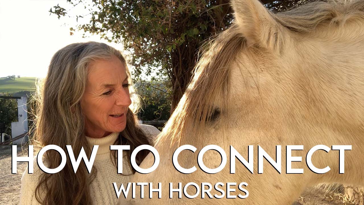 How to CONNECT WITH HORSES