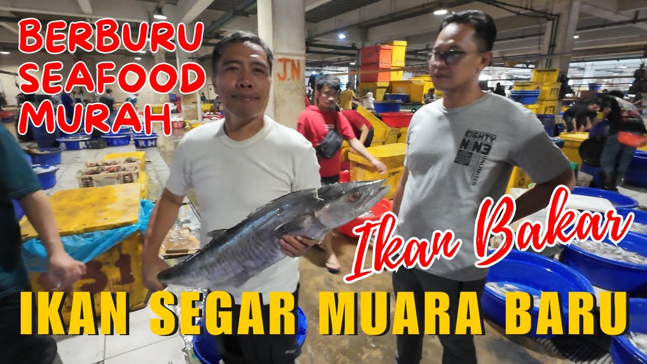 BERBURU SEAFOOD SEGAR DI MUARA BARU JAKARTA UTARA
