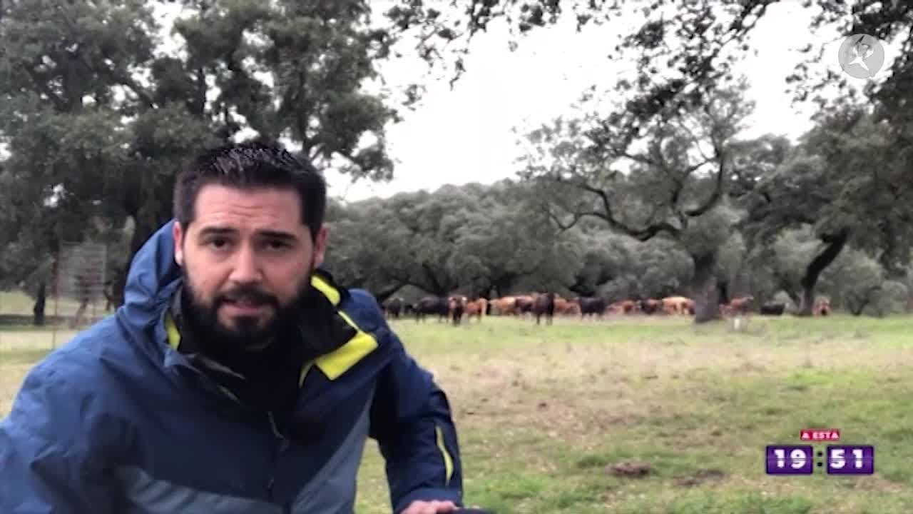 La Ruta del Sur: De Higuera la Real a Segura de León | A esta hora
