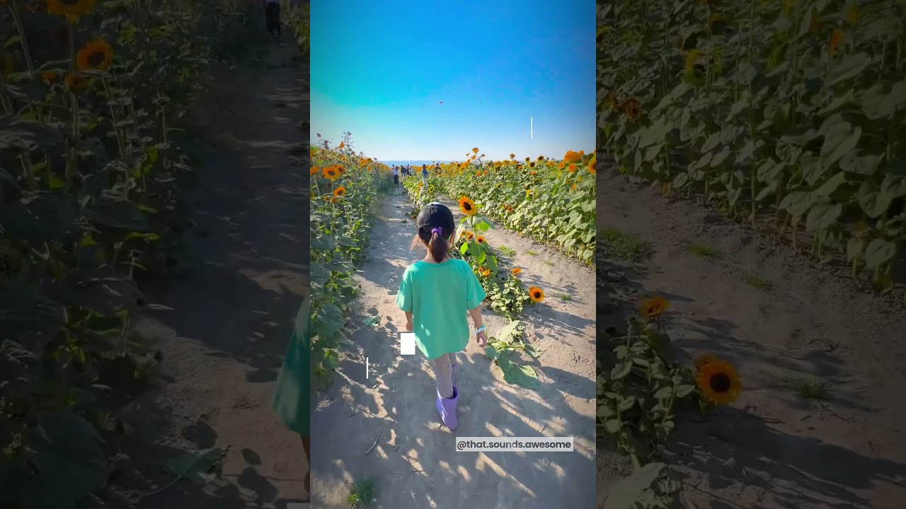 Flower Seasons in Seattle | Starting in Spring - Summer