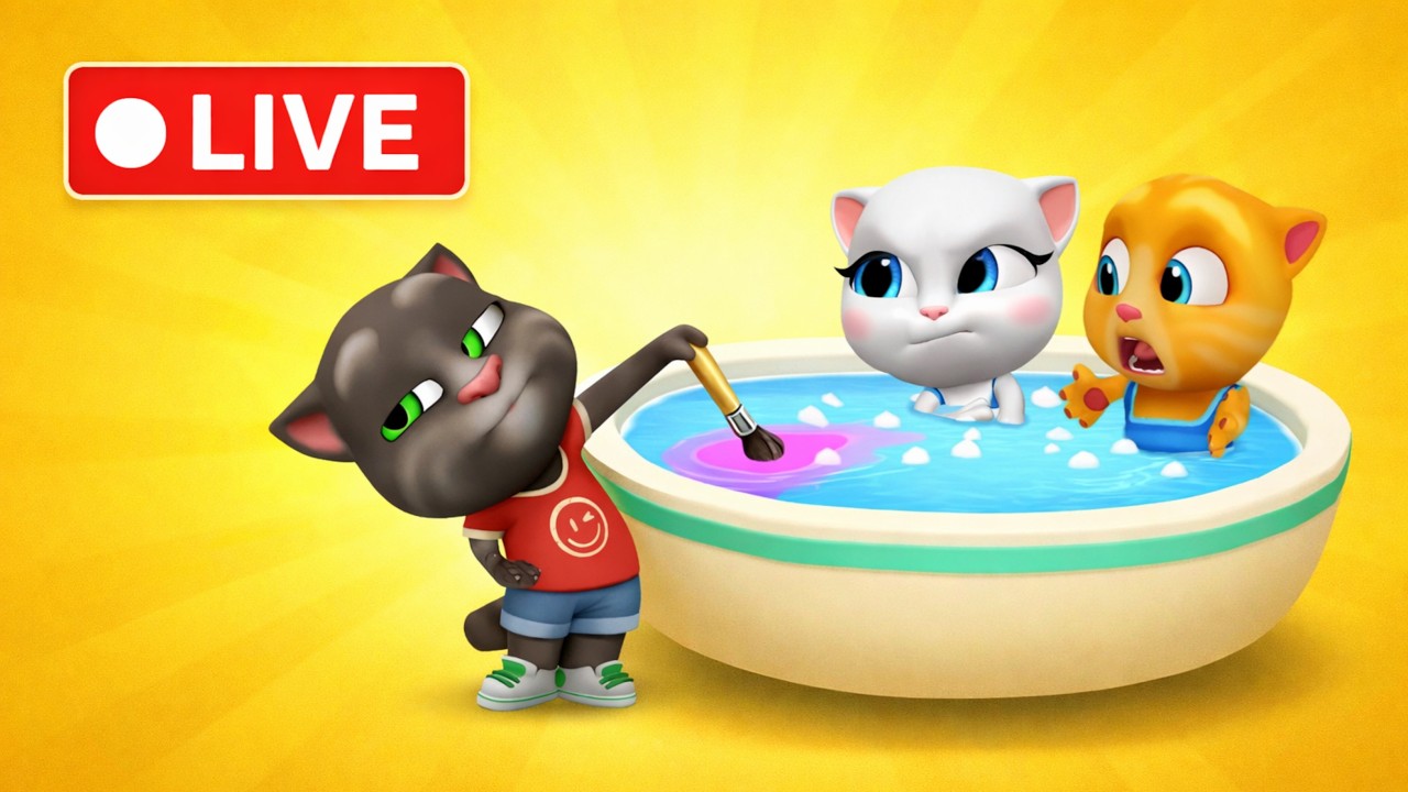 Talking Tom Friends Live Gameplay