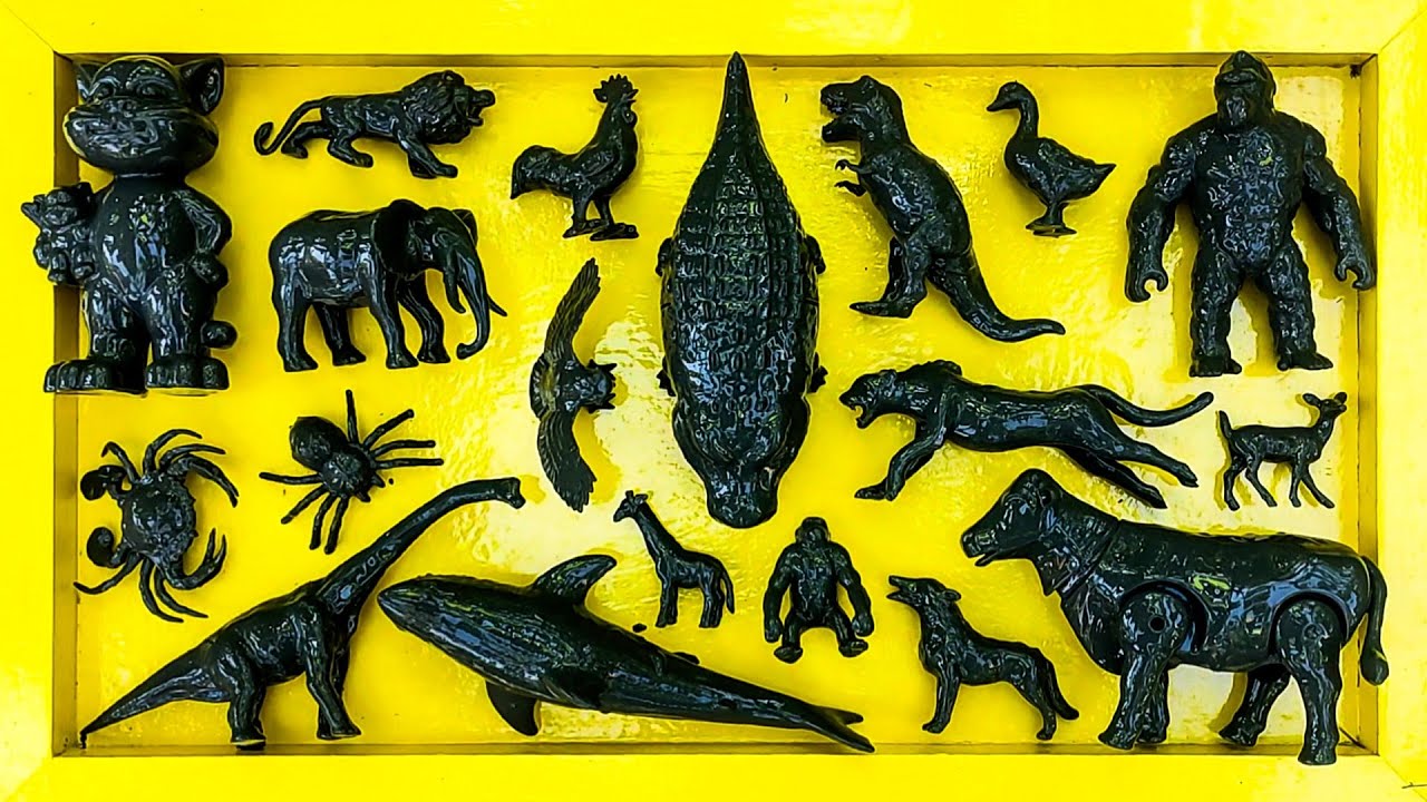 Membersihkan hewan sapi, bebek, angsa, ayam, gajah, simpanse, singa, unta, buaya, kangguru