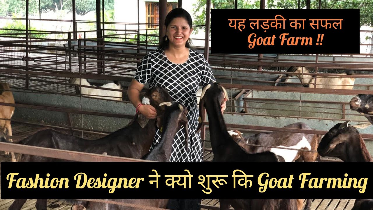 आखिर क्यों Fashion Designing के बाद शुरू की Goat Farming || Successful Goat Farmer || Hello Kisaan