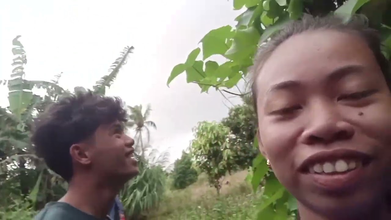HUMANA UG PINTAL AMONG CR DN NG HIMO M UG PAPAYA SHAKE 