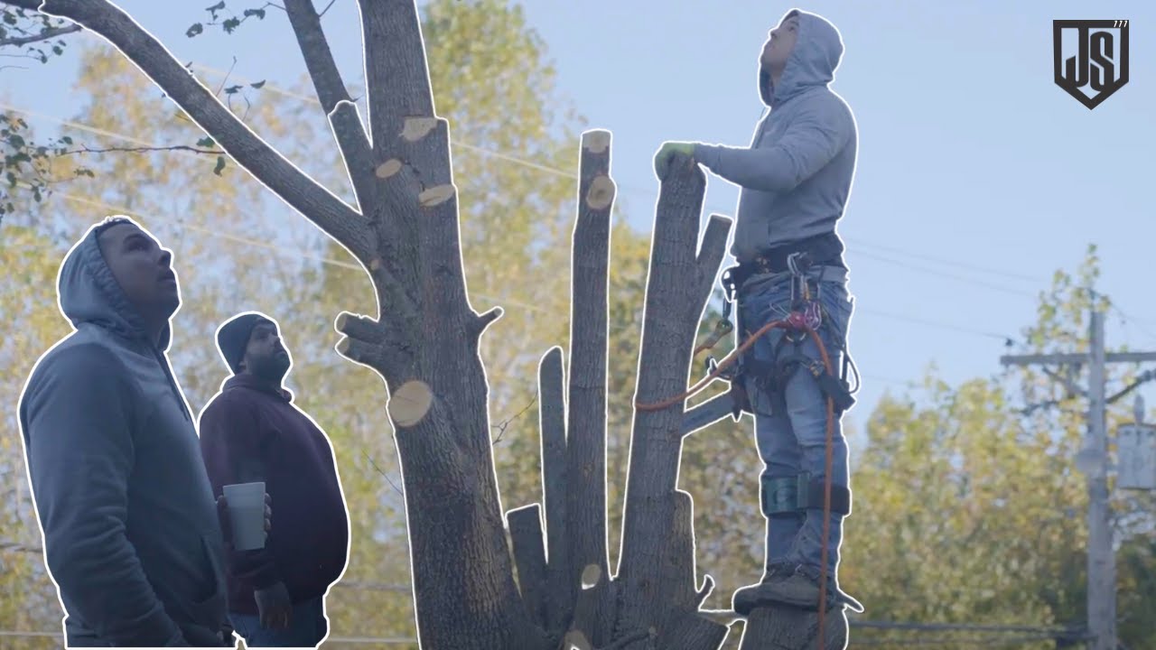 Watch Us Work | Tree Removals and Trimming