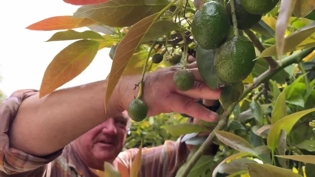 Local farmers raise concern over farmland rezoning to make way for housing