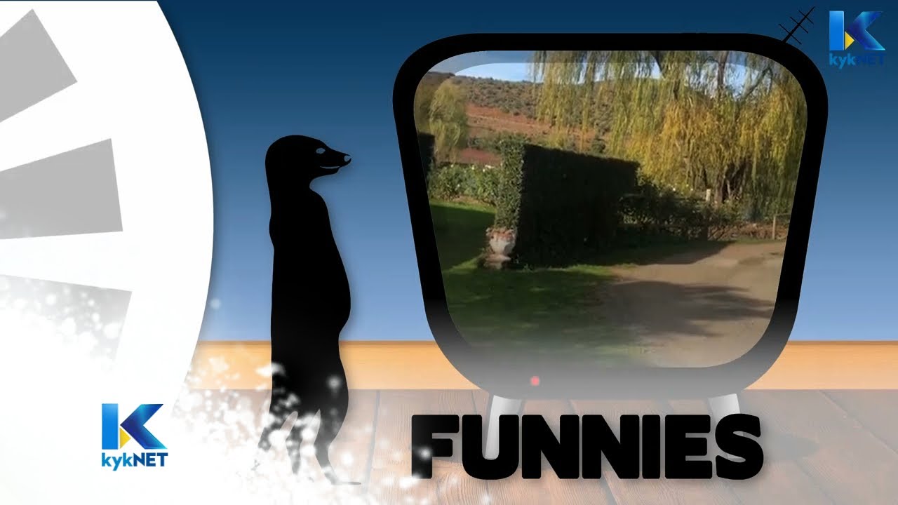 Ronde 2 – Kwêla Funnies 2019  |  kykNET