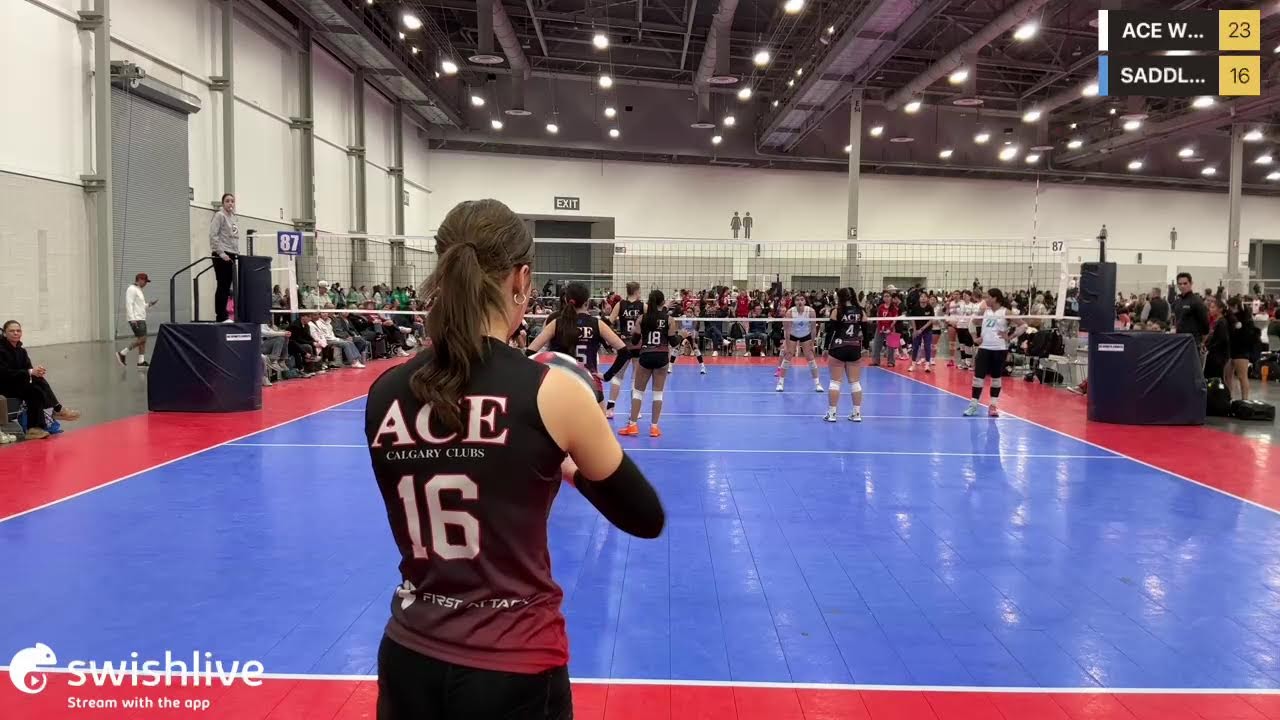 Live powered by Swish Live app
ACE WHITE VS SADDLEBACK