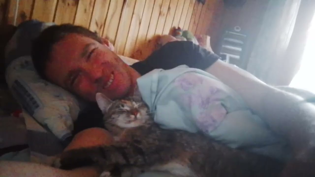 Утро с кисами 
