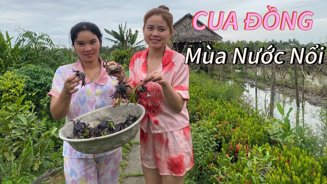 Bắt Cua Đồng Mùa Nước Nổi Cùng Với Em Bích Hương Nha 