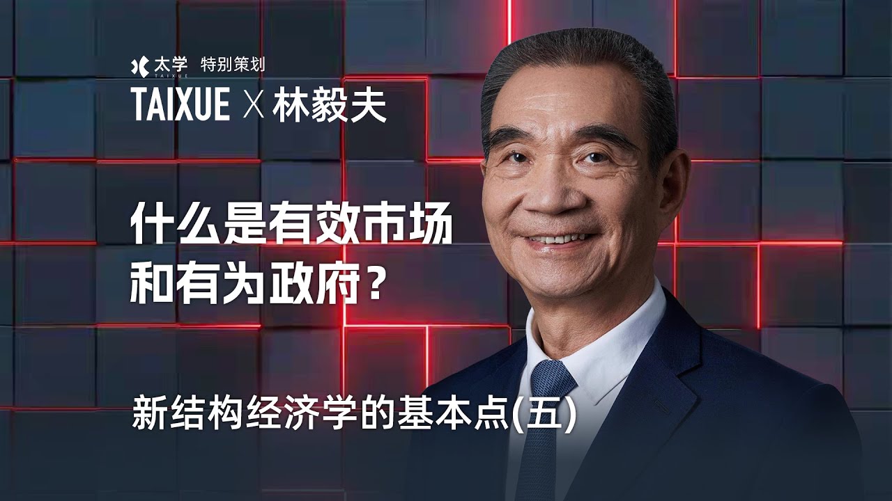 林毅夫：什么是有效市场和有为政府？