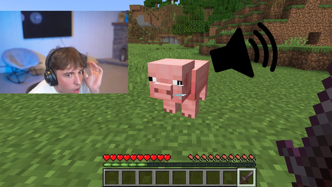 Streamer Used 10000% Minecraft Volume
