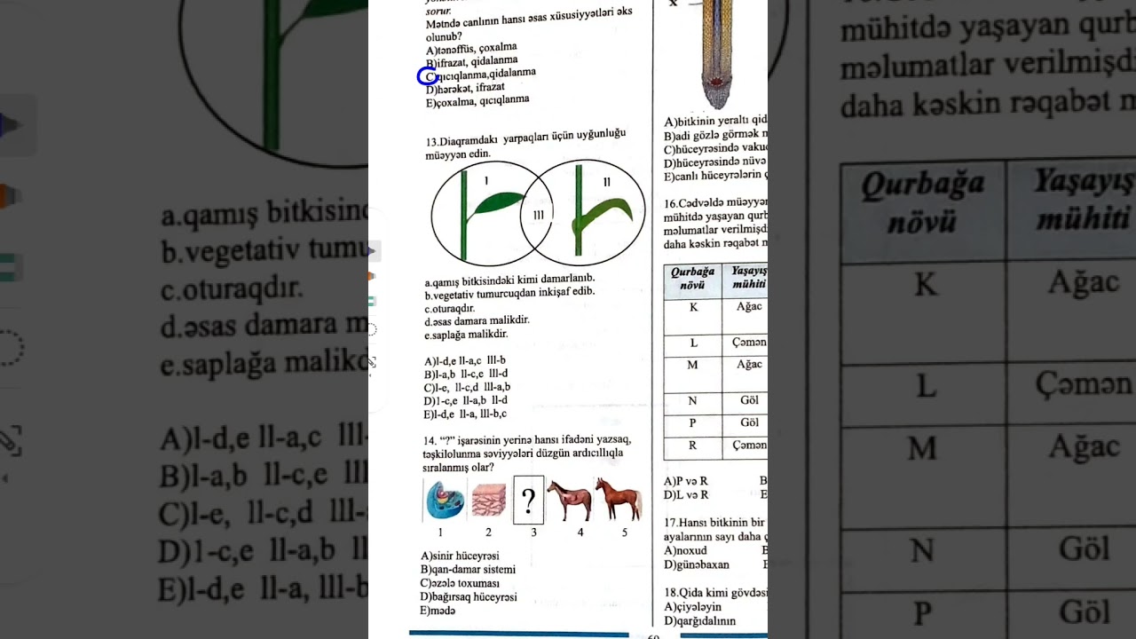 2026 biologiya Rfm tipli sınaq 1#keşfet #education #kəsfet #kəşfett #keşfetbeniöneçıka #rfm #biology