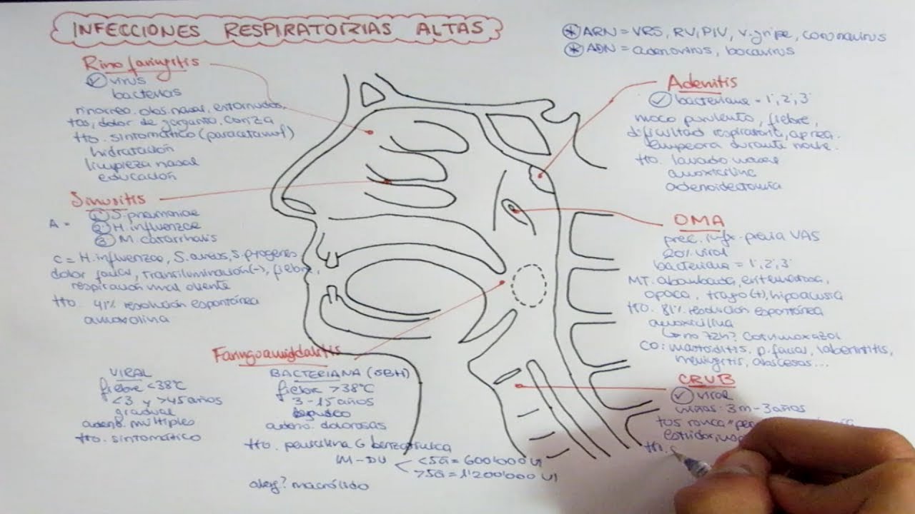 Infecciones de vía aérea alta