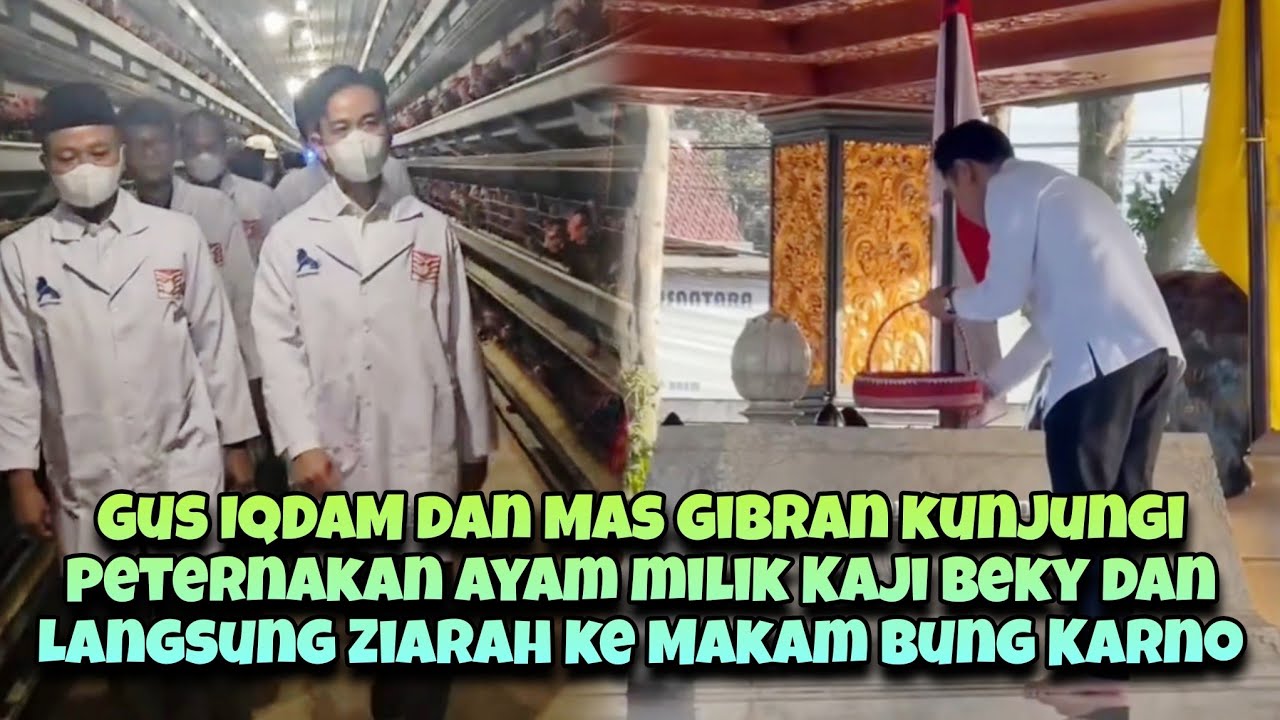 Gus IQDAM temani Mas Gibran kunjungi Peternakan Sumber Kelapa milik kaji beky