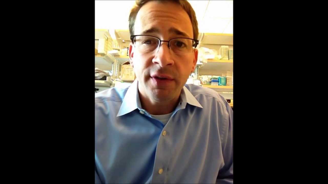 Take Part in SITC's Advances in Cancer Immunotherapy program at ASCO!