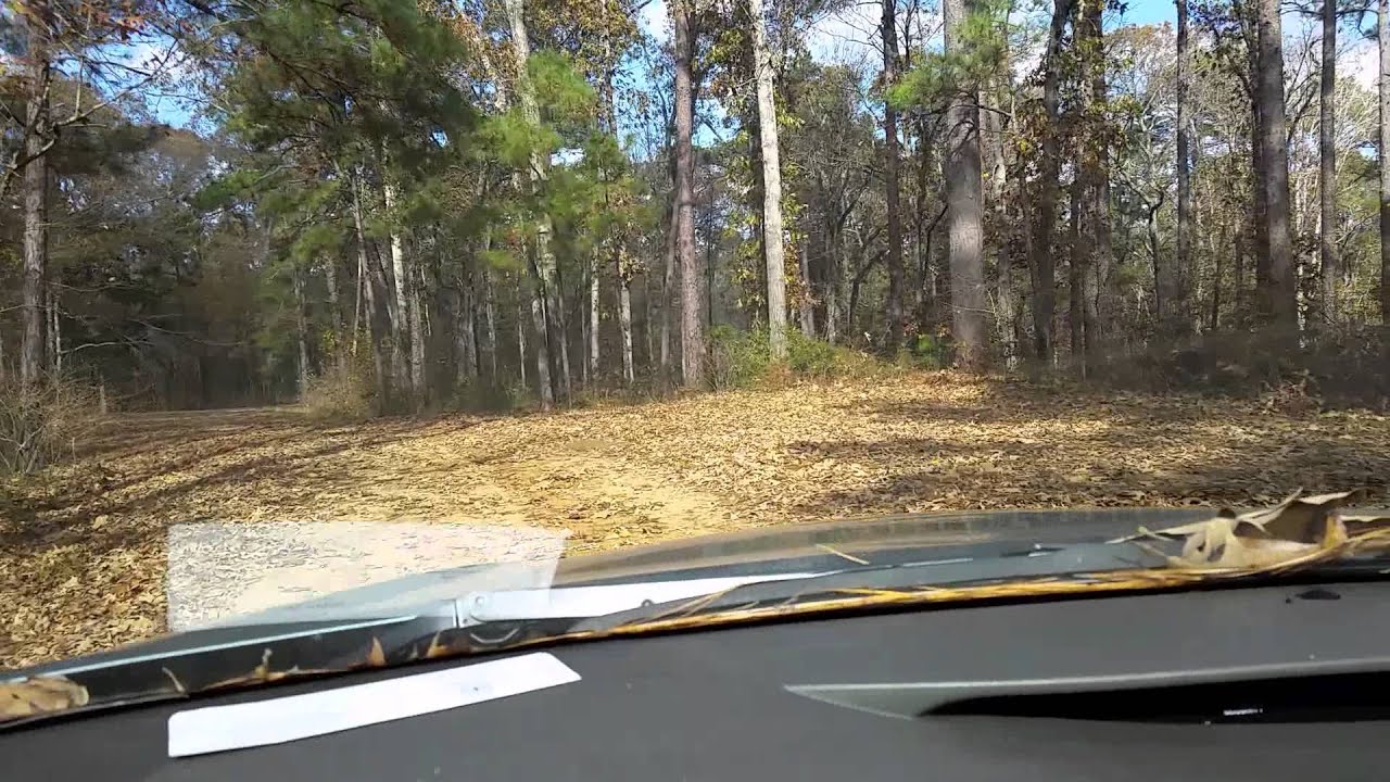 Looking for a campsite (Lake kincaid)