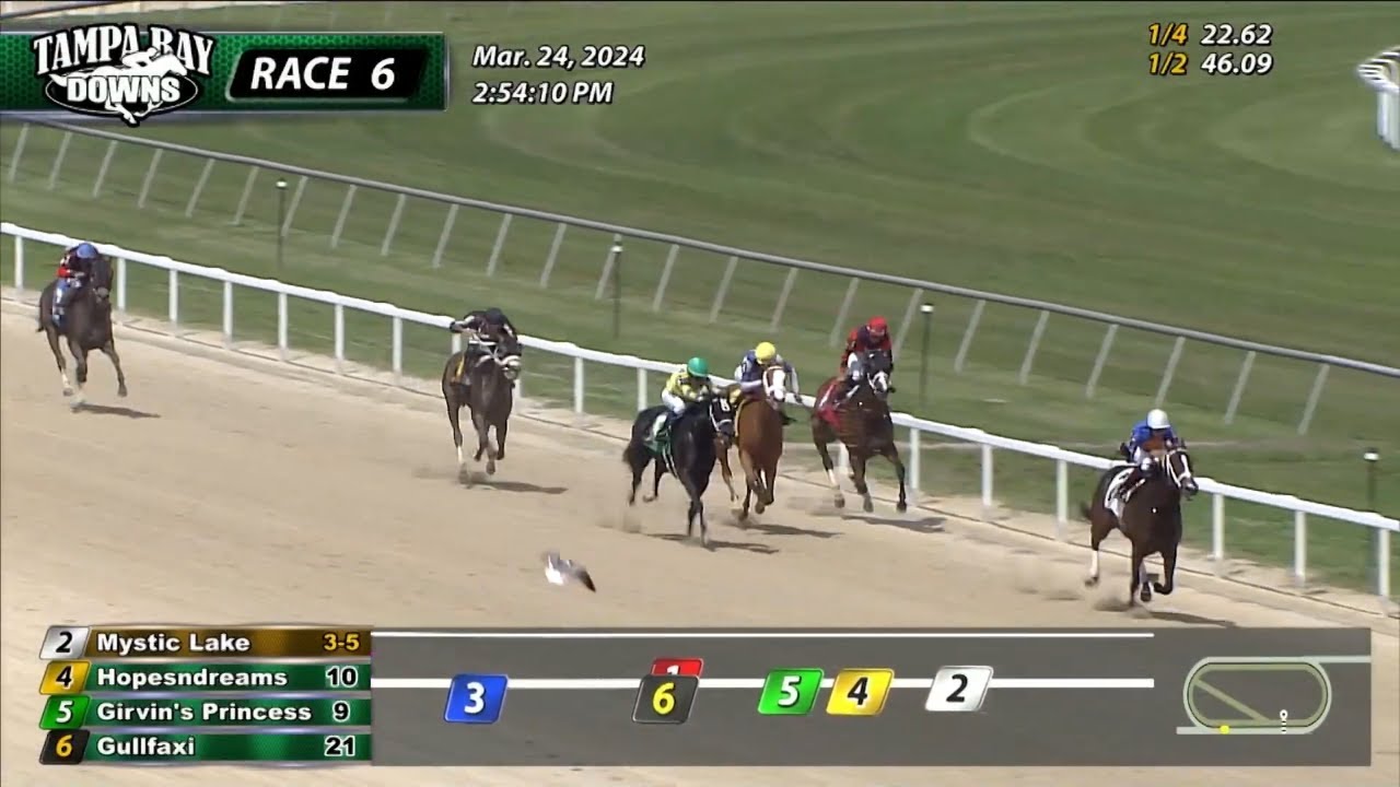 2024 FTBOA 3-Year-Old Filly And Female Sprinter - Mystic Lake