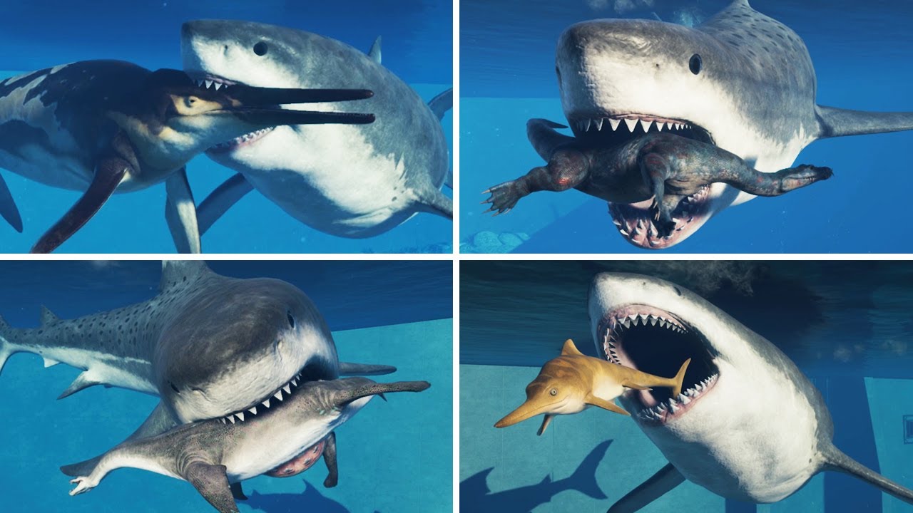 MEGALODON HUNTING ANIMATIONS - Jurassic World Evolution 2