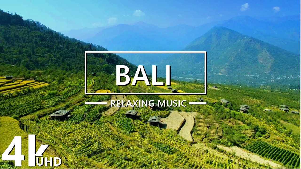 Bali 4k - Focus Music for Studying (Ultra HD)