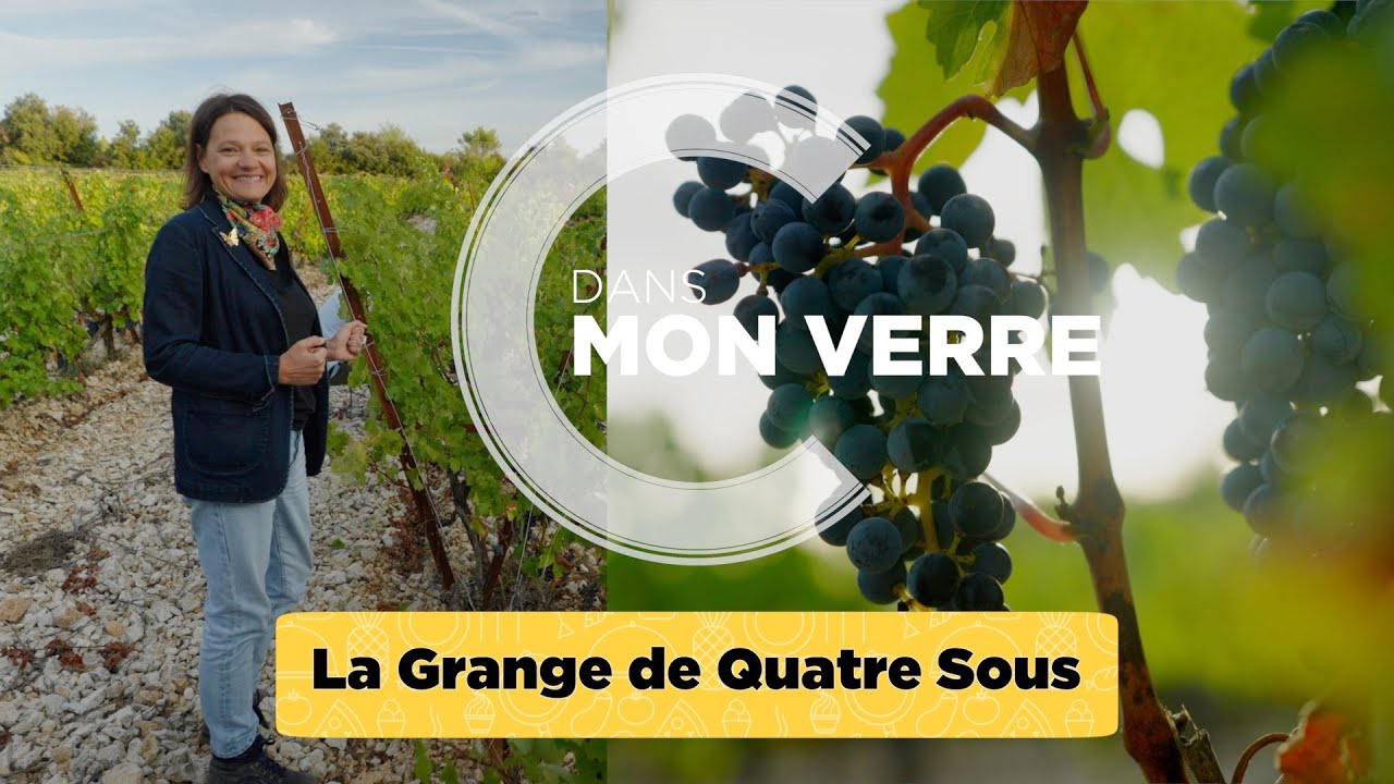 Un beau domaine viticole en Languedoc