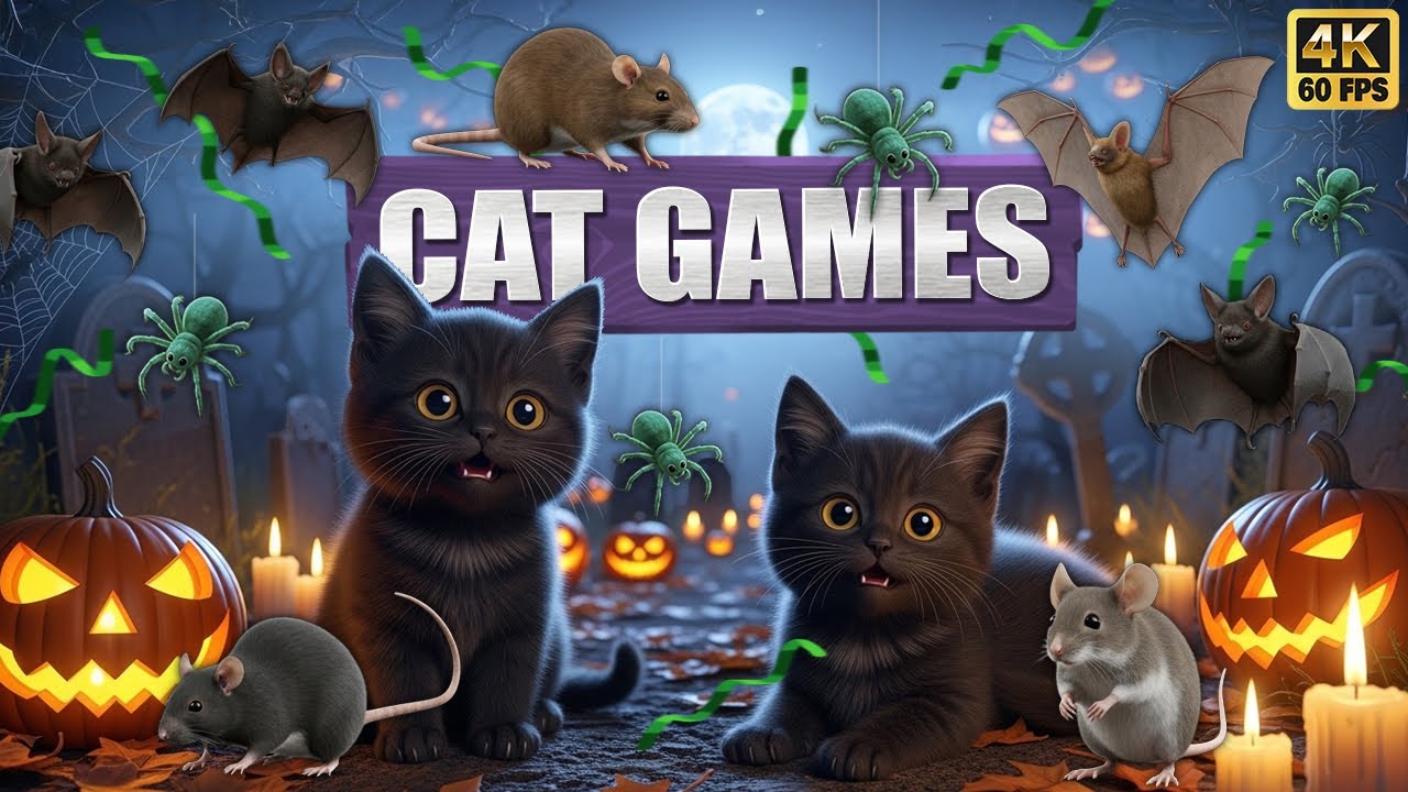CAT GAMES 🐾3D Game for Cats | Video for Cats  &ndash; Ultimate CAT TV #62😻 4K60FPS