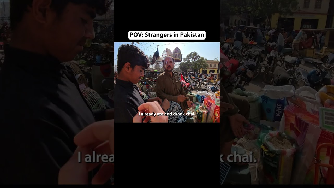 Pakistanis Exposed as VERY POLITE!