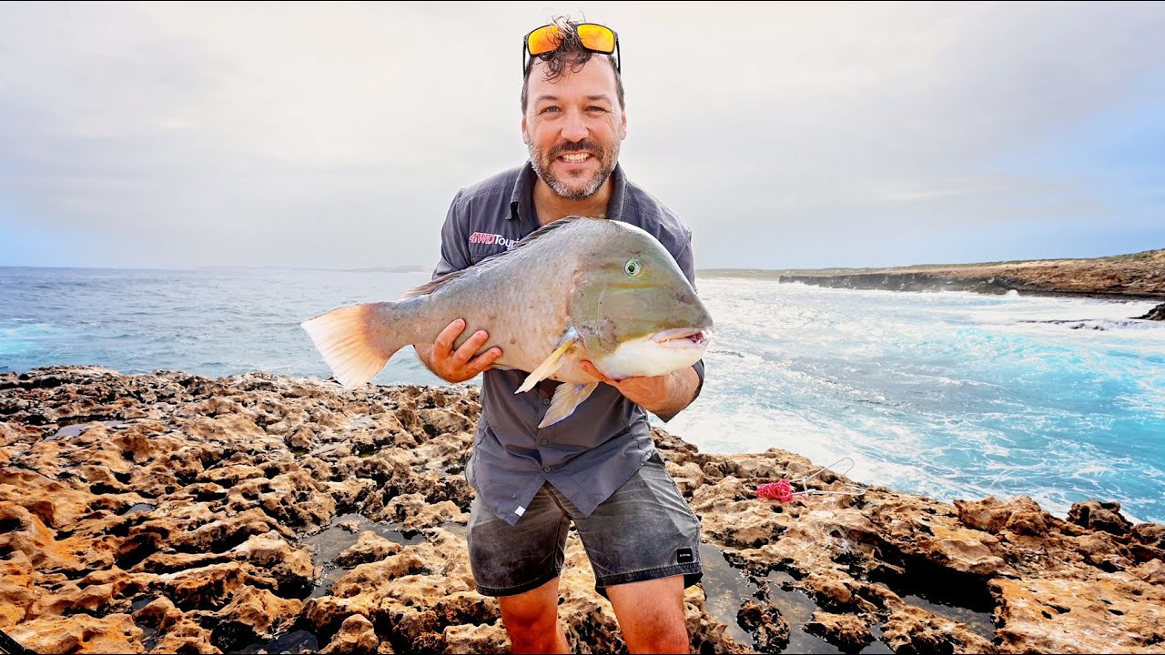 DESERT VISIONS - Massive baldchin groper off the cliffs on Dirk Hartog Island! - Episode 1