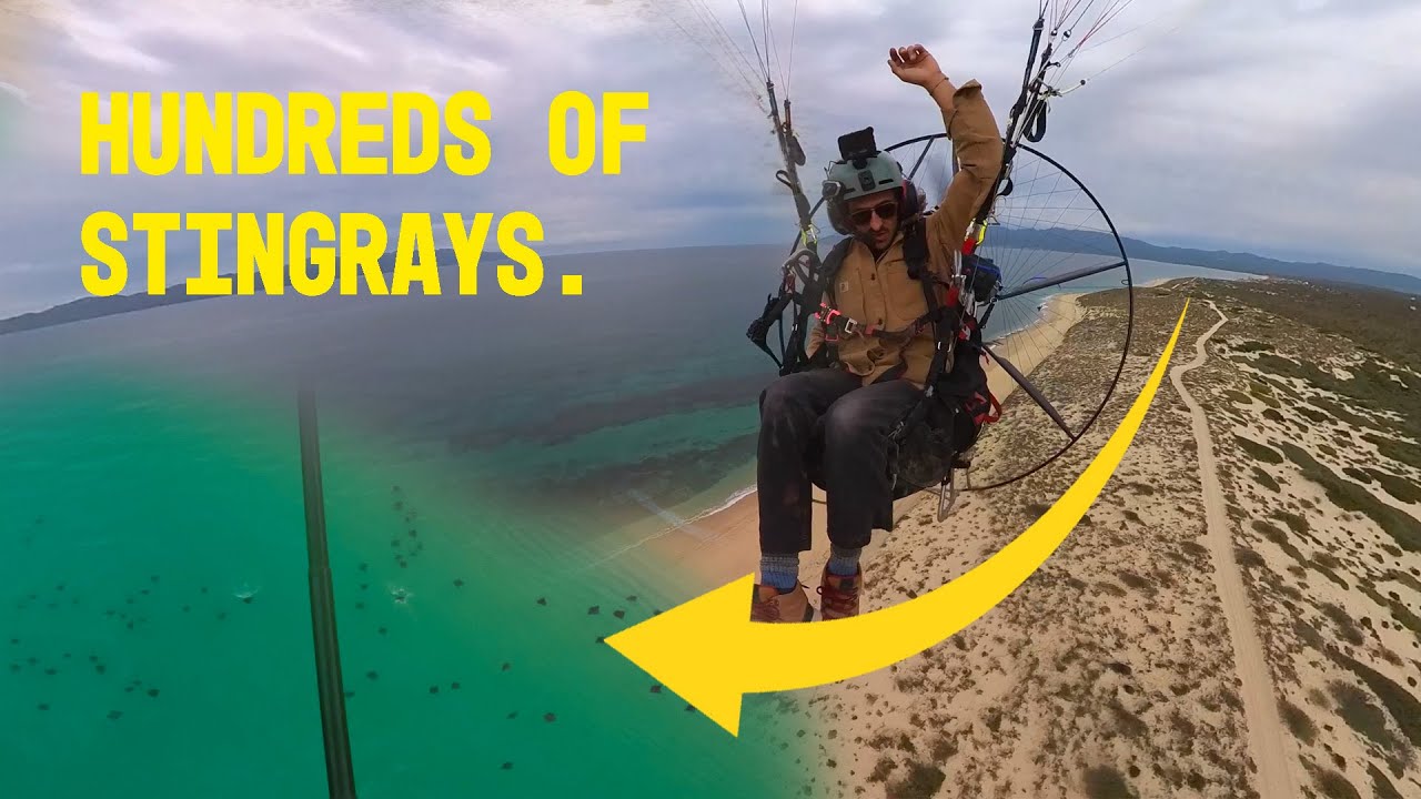 I Flew My Paramotor over HUNDREDS of Stingrays in Mexico!