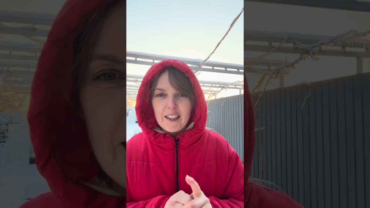 Опитування після свят! Реально?