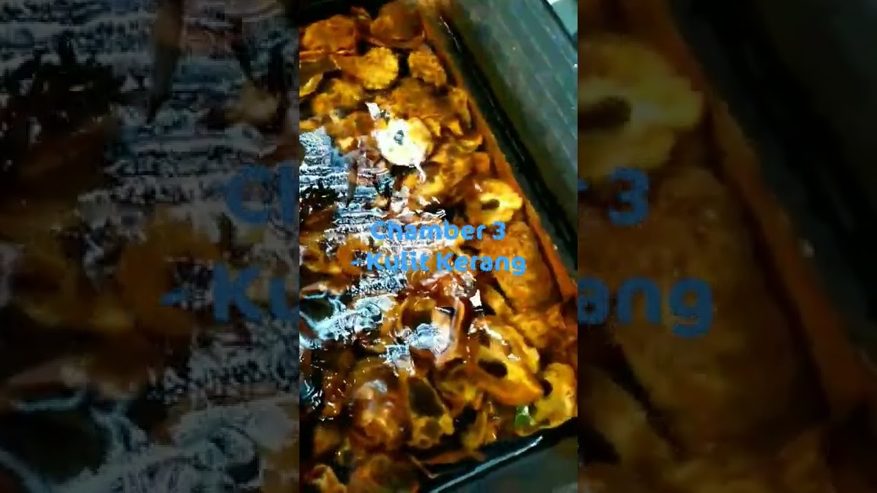 Rahasia Air Kolam Koi Bisa Jernih #koi #kolamkoi #koifish #koiindonesia #ikankoi