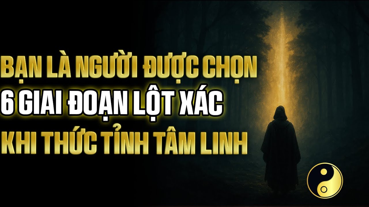 Bạn Không Tình Cờ Thức Tỉnh:6 Giai Đoạn Linh Hồn Bước Ra Bóng Tối Để Thành Ánh Sáng|Cổ Nhân Bí Thuật