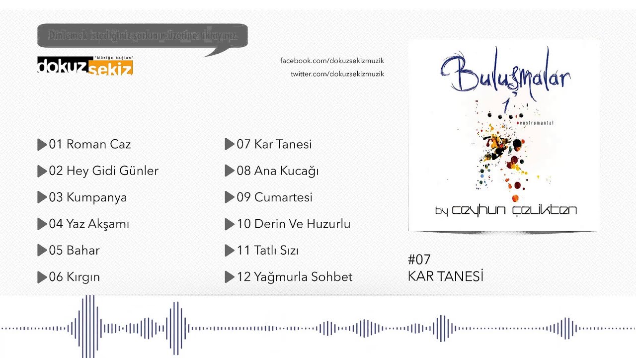 Ceyhun &Ccedil;elikten - Kar Tanesi (Official Audio) (Enstr&uuml;mantal)