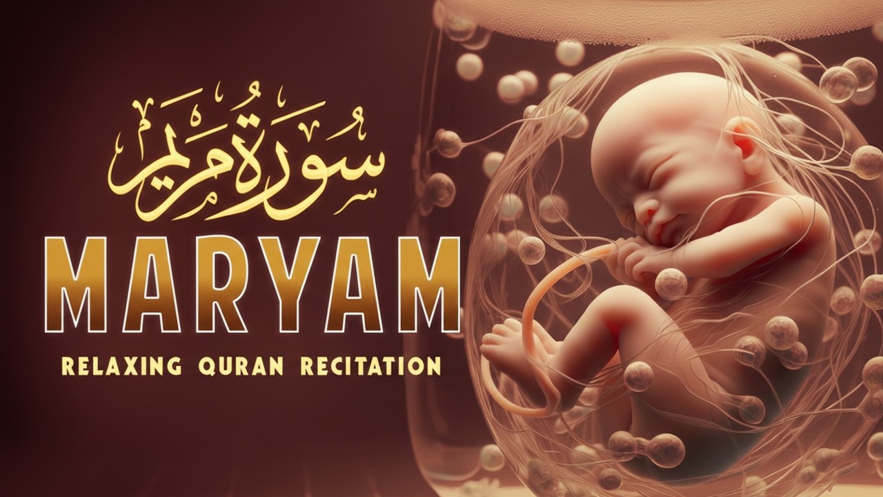 Surah Maryam (سورة مريم) | Most Beautiful Lofi Quran Recitation That Touches the Heart 🤍| #love