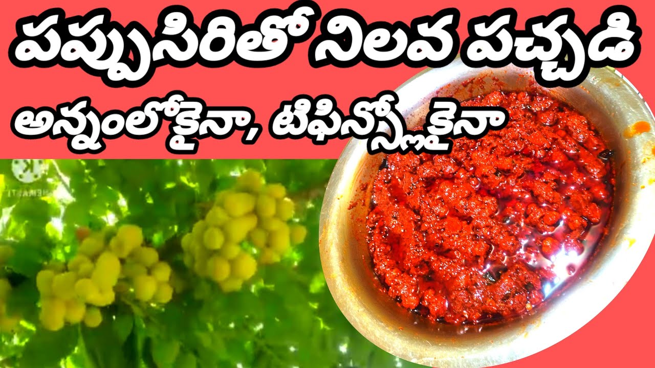 #పప్పుసిరి తో #నిలువపచ్చడి #stargoosberries #pickle@ love the garden Kumari.