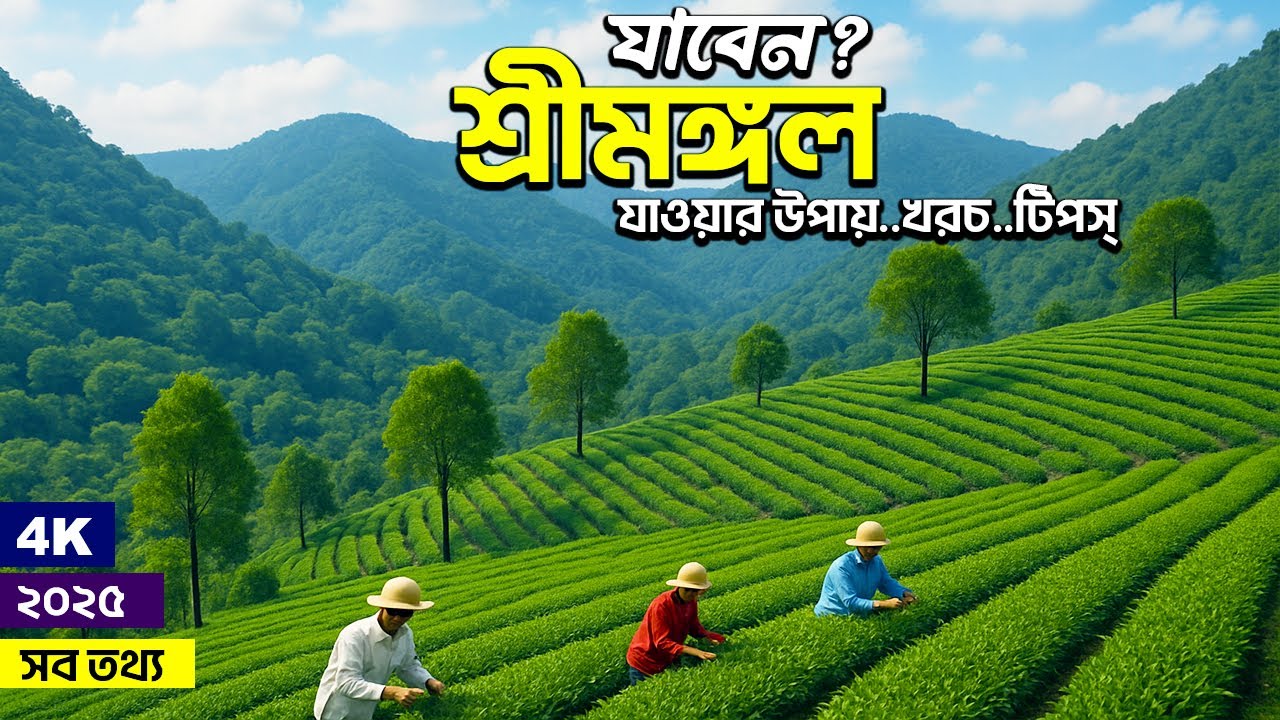 শ্রীমঙ্গল ভ্রমণের সবকিছু ২০২৫ |মাধবপুর লেক |লাউয়াছড়া | Sreemangal Tour 2025|Sreemangal Tourist place