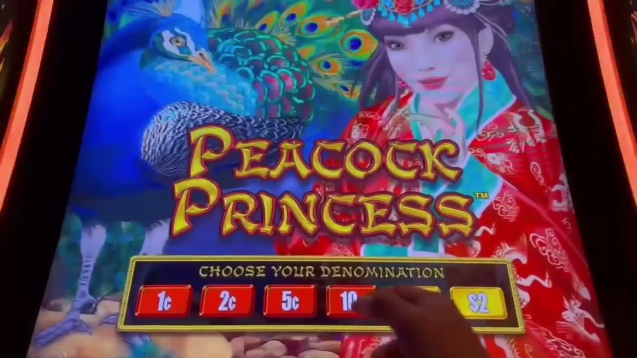 Игровой автомат Dragon Link 🐲🖇️🎰| Сессия Peacock Princess 🦚👑