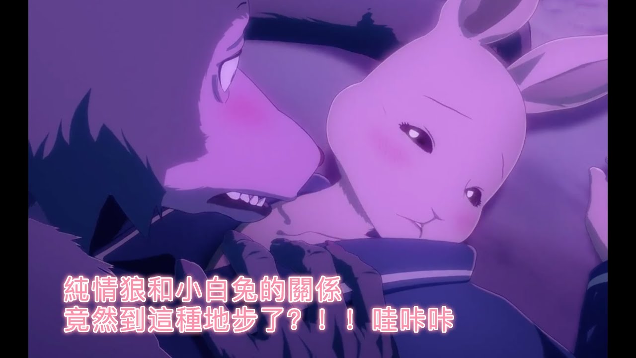 【動物狂想曲/BEASTARS】純情狼和小白兔的關係竟然到這種地步了！！！第一季大結局